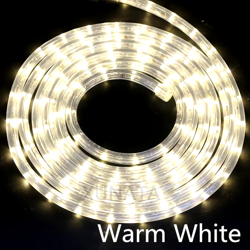 EU 220V LED Rope Tube String Fairy Lights 360 Degree Ligthing Waterproof Outdoor Garden Lamp Rainbow Led Strip