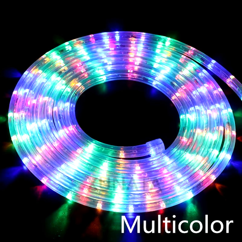 EU 220V LED Rope Tube String Fairy Lights 360 Degree Ligthing Waterproof Outdoor Garden Lamp Rainbow Led Strip