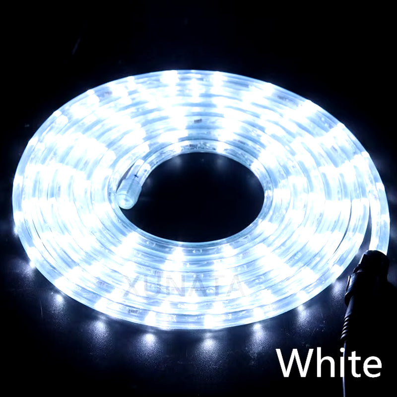 EU 220V LED Rope Tube String Fairy Lights 360 Degree Ligthing Waterproof Outdoor Garden Lamp Rainbow Led Strip