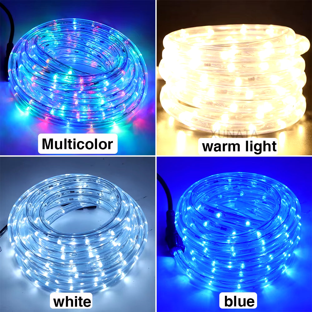 EU 220V LED Rope Tube String Fairy Lights 360 Degree Ligthing Waterproof Outdoor Garden Lamp Rainbow Led Strip